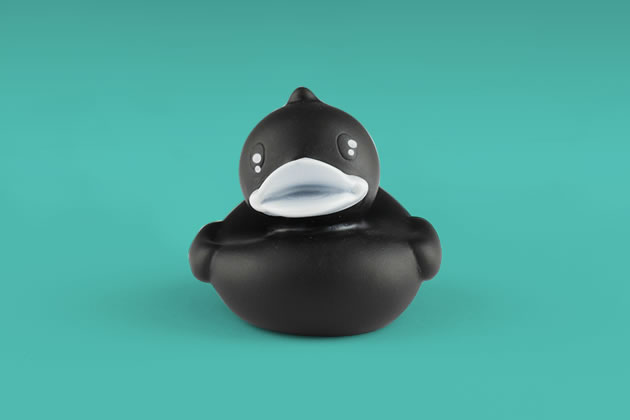 Blackmallard rubber duck